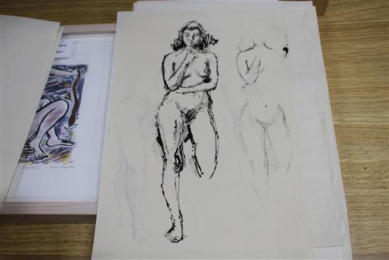 Peter Collins, twelve pen and ink on paper, Studies of female nudes, largest 35 x 25cm, unframed